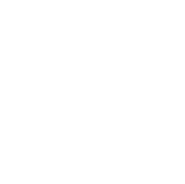 Compass Ethics Logo